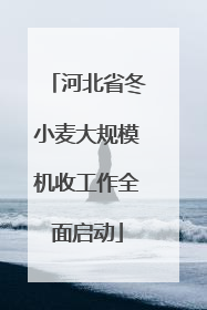 河北省冬小麦大规模机收工作全面启动