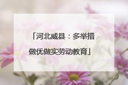 河北威县：多举措做优做实劳动教育