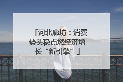 河北廊坊：消费势头稳点燃经济增长“新引擎”