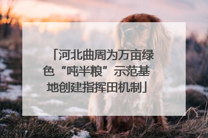 河北曲周为万亩绿色“吨半粮”示范基地创建指挥田机制