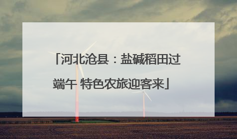 河北沧县：盐碱稻田过端午 特色农旅迎客来