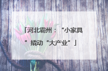 河北霸州：“小家具”撬动“大产业”