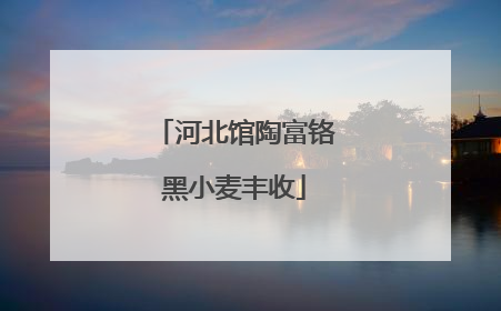 河北馆陶富铬黑小麦丰收
