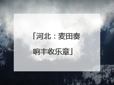 河北：麦田奏响丰收乐章