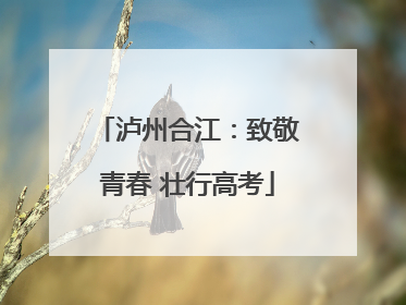 泸州合江：致敬青春 壮行高考