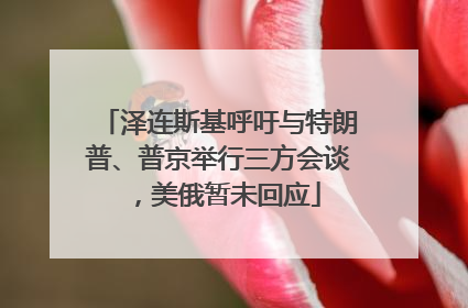 泽连斯基呼吁与特朗普、普京举行三方会谈，美俄暂未回应