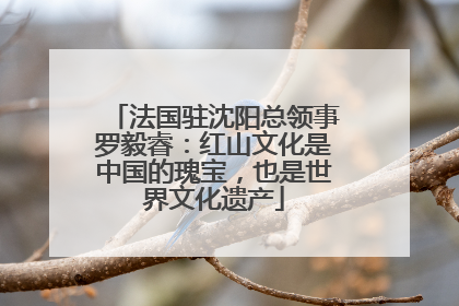 法国驻沈阳总领事罗毅睿：红山文化是中国的瑰宝，也是世界文化遗产