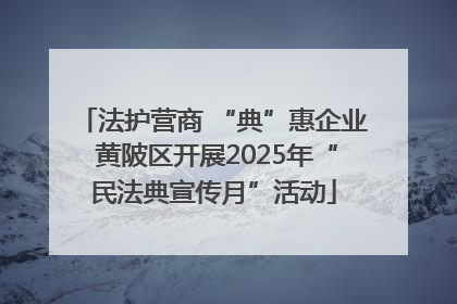 法护营商 “典”惠企业 黄陂区开展2025年“民法典宣传月”活动