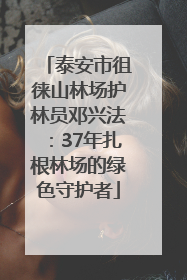 泰安市徂徕山林场护林员邓兴法：37年扎根林场的绿色守护者