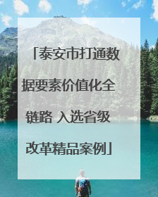 泰安市打通数据要素价值化全链路 入选省级改革精品案例