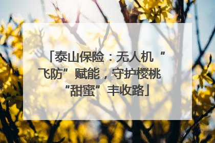 泰山保险：无人机“飞防”赋能，守护樱桃“甜蜜”丰收路