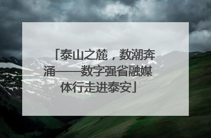 泰山之麓，数潮奔涌——数字强省融媒体行走进泰安