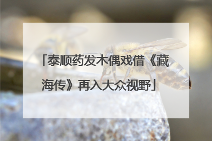 泰顺药发木偶戏借《藏海传》再入大众视野