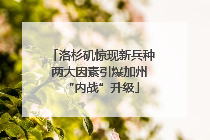 洛杉矶惊现新兵种 两大因素引爆加州“内战”升级