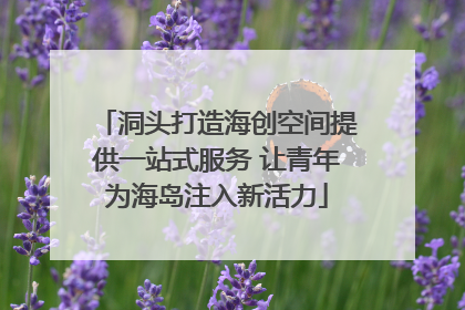 洞头打造海创空间提供一站式服务 让青年为海岛注入新活力