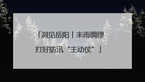洞见岳阳丨未雨绸缪 打好防汛“主动仗”