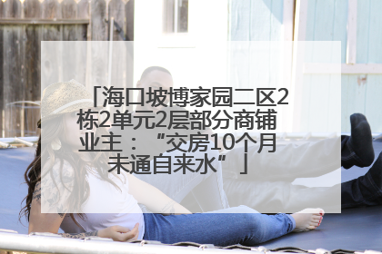海口坡博家园二区2栋2单元2层部分商铺业主：“交房10个月未通自来水”