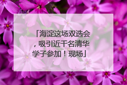 海淀这场双选会，吸引近千名清华学子参加！现场