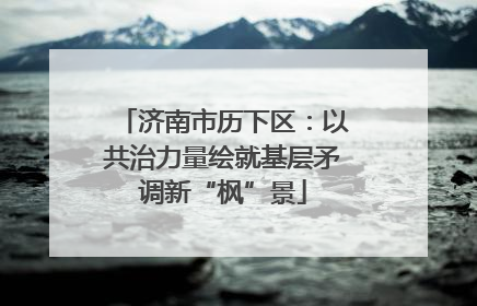 济南市历下区：以共治力量绘就基层矛调新“枫”景