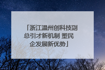浙江温州创科技副总引才新机制 塑民企发展新优势