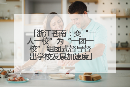 浙江苍南：变“一人一校”为“一团一校” 组团式督导督出学校发展加速度