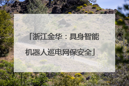 浙江金华：具身智能机器人巡电网保安全