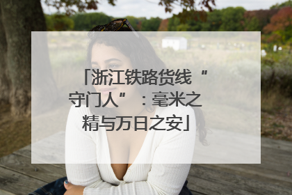 浙江铁路货线“守门人”：毫米之精与万日之安