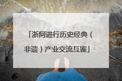 浙阿进行历史经典（非遗）产业交流互鉴