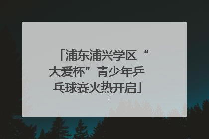 浦东浦兴学区“大爱杯”青少年乒乓球赛火热开启
