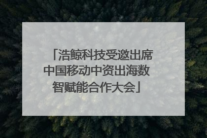 浩鲸科技受邀出席中国移动中资出海数智赋能合作大会