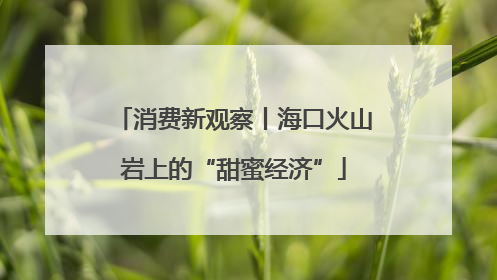 消费新观察丨海口火山岩上的“甜蜜经济”