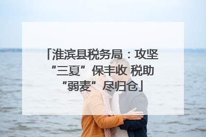 淮滨县税务局：攻坚“三夏”保丰收 税助“弱麦”尽归仓