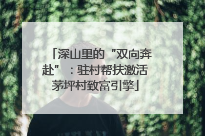 深山里的“双向奔赴”：驻村帮扶激活茅坪村致富引擎