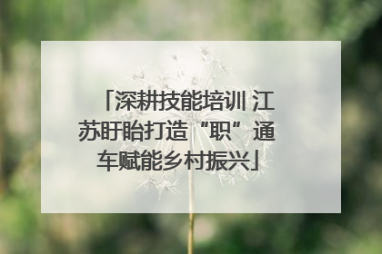 深耕技能培训 江苏盱眙打造“职”通车赋能乡村振兴