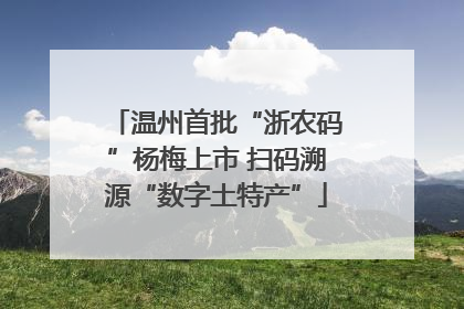 温州首批“浙农码”杨梅上市 扫码溯源“数字土特产”