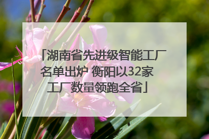 湖南省先进级智能工厂名单出炉 衡阳以32家工厂数量领跑全省