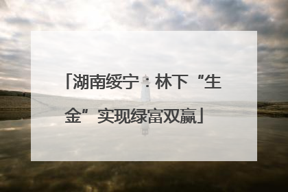 湖南绥宁：林下“生金”实现绿富双赢
