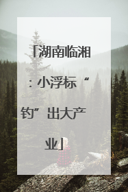 湖南临湘：小浮标“钓”出大产业