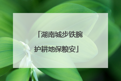 湖南城步铁腕护耕地保粮安