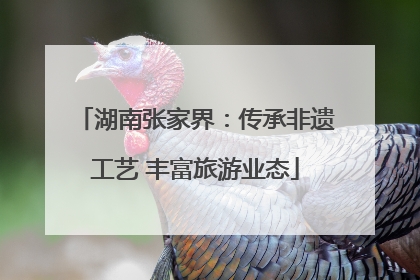 湖南张家界：传承非遗工艺 丰富旅游业态