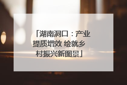湖南洞口：产业提质增效 绘就乡村振兴新图景