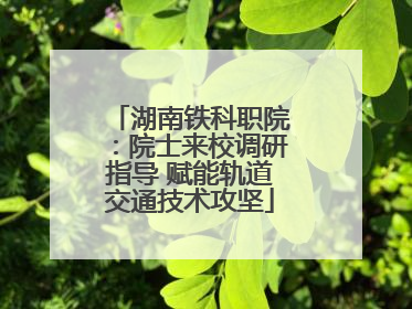 湖南铁科职院：院士来校调研指导 赋能轨道交通技术攻坚