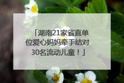 湖南21家省直单位爱心妈妈牵手结对30名流动儿童！
