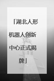 湖北人形机器人创新中心正式揭牌