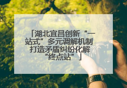 湖北宜昌创新“一站式”多元调解机制 打造矛盾纠纷化解“终点站”