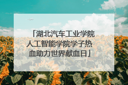 湖北汽车工业学院人工智能学院学子热血助力世界献血日