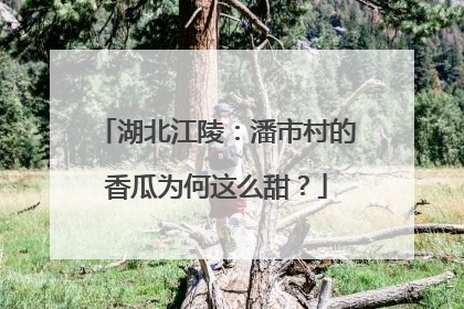 湖北江陵：潘市村的香瓜为何这么甜？