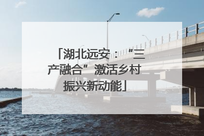 湖北远安：“三产融合”激活乡村振兴新动能