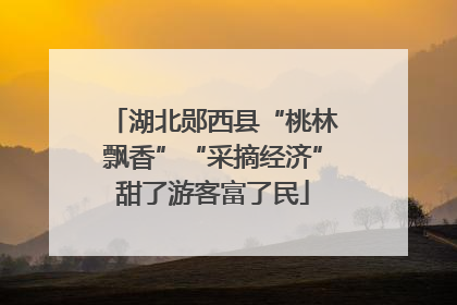 湖北郧西县“桃林飘香”“采摘经济”甜了游客富了民