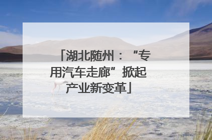 湖北随州：“专用汽车走廊”掀起产业新变革